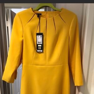 Classy and elegant Escada dress. Size 6.